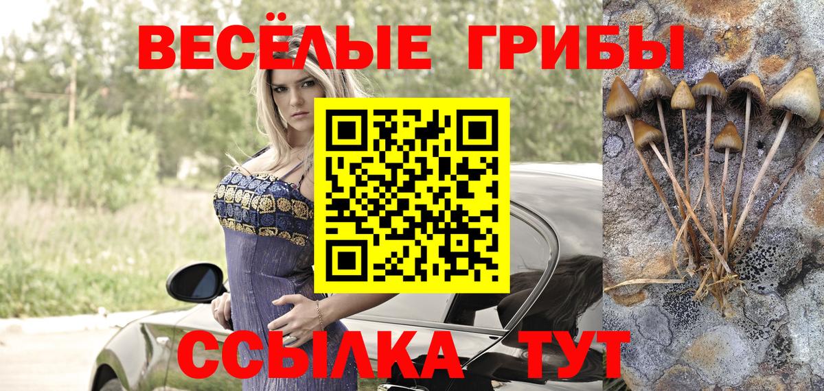 Калуга  Псилоцибиновые грибы Cubensis  Вход с VPN  Псилоцибиновые грибы мицелий 